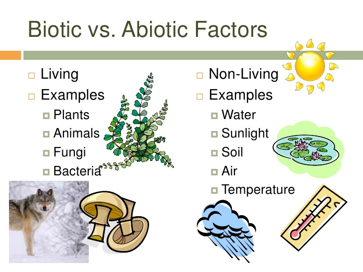 Biotic And Abiotic Factors Radical Reservoirs